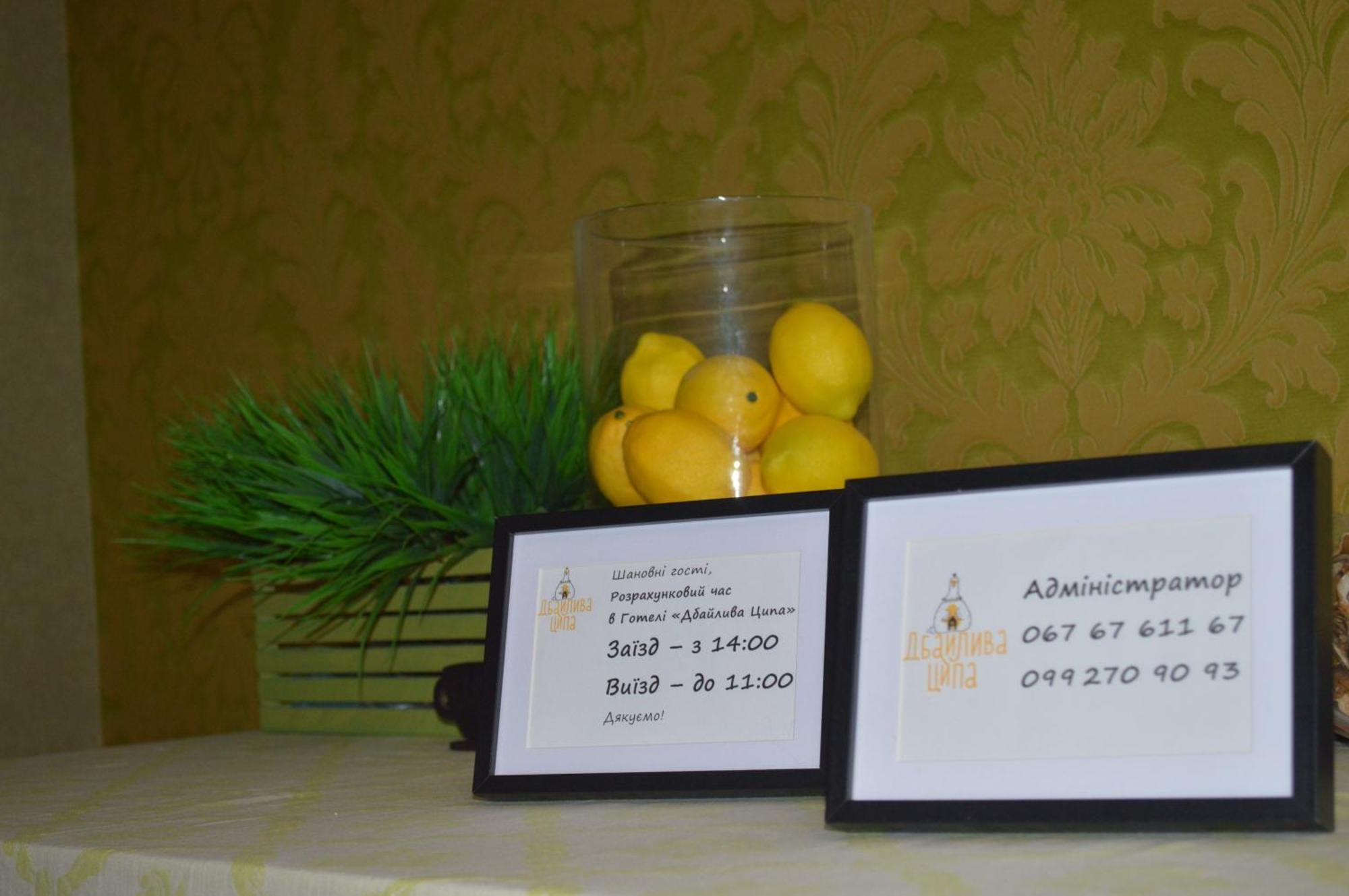 Bed and Breakfast Дбайлива Ципа Mizhhirya  Экстерьер фото
